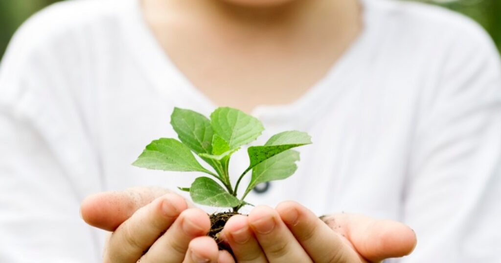 child with plant in his hand